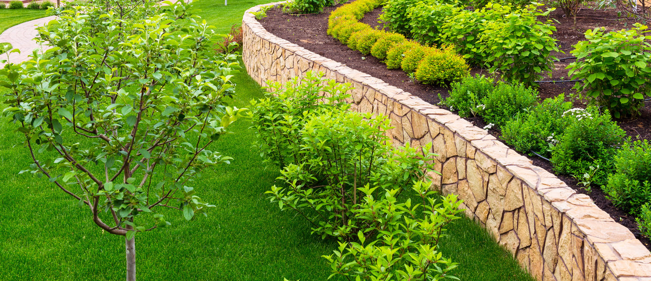 Landscaping in home garden